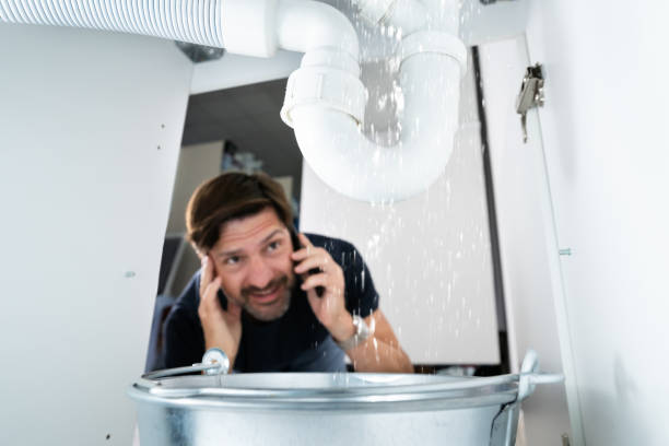 Best Drain Cleaning Services  in Yorkvle, IL